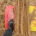 【白玉山药】陕西榆林山药大量供货产地直发品质保障量大价优