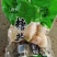 糖醋蒜批发厂家批发新鲜靓货
