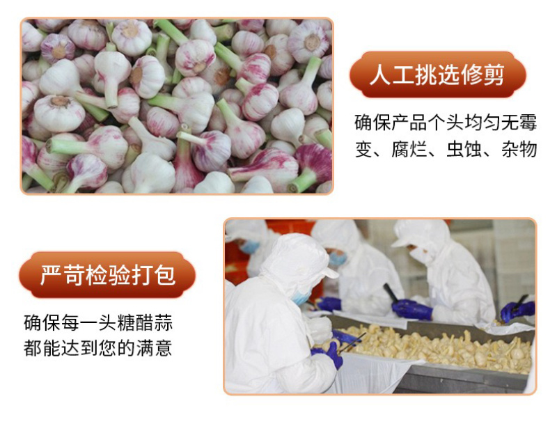 糖醋蒜批发厂家批发新鲜靓货