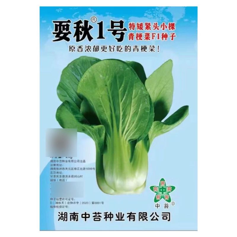 耍秋一号青梗菜种子香味浓郁口感甜糯矮脚型束腰苏州青上海青