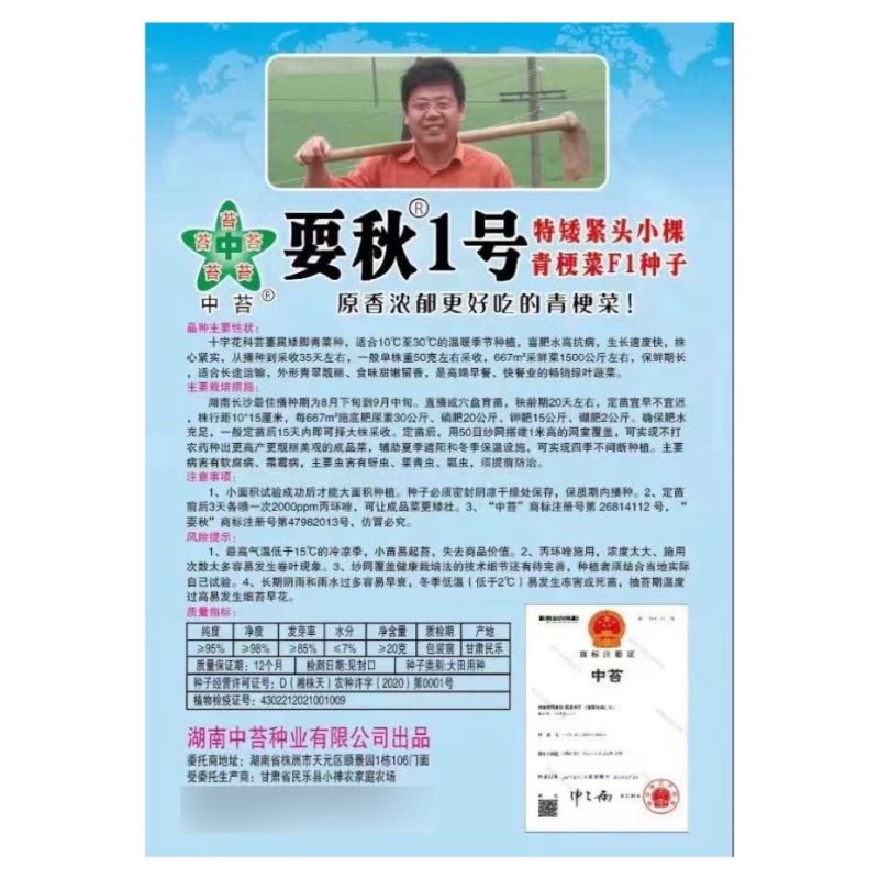 耍秋一号青梗菜种子香味浓郁口感甜糯矮脚型束腰苏州青上海青