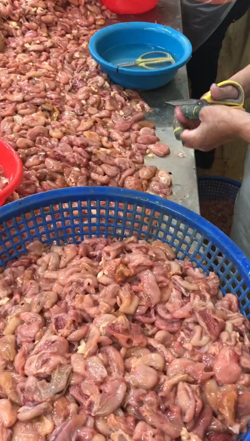 开边鱼肚巴沙鱼肚精加工脆鱼肚鱼扣鮰鱼肚免浆鱼肚