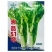 吉品51号中熟白菜苔种子短粗菜苔菜心种籽大花蕾60天中熟