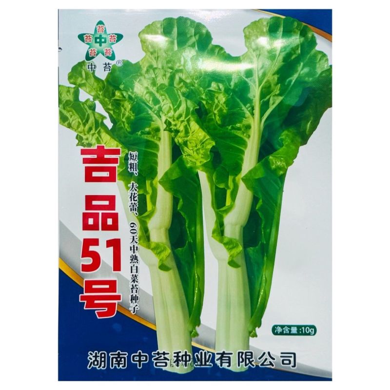 吉品51号中熟白菜苔种子短粗菜苔菜心种籽大花蕾60天中熟