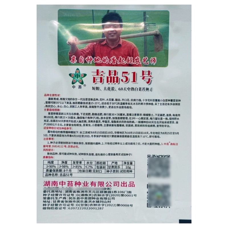 吉品51号中熟白菜苔种子短粗菜苔菜心种籽大花蕾60天中熟