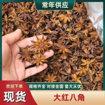广西大红春花八角大量上市产地一手货源