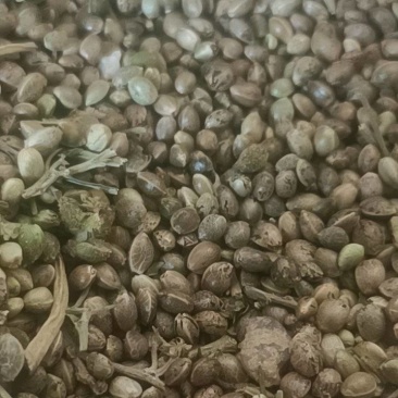麻子