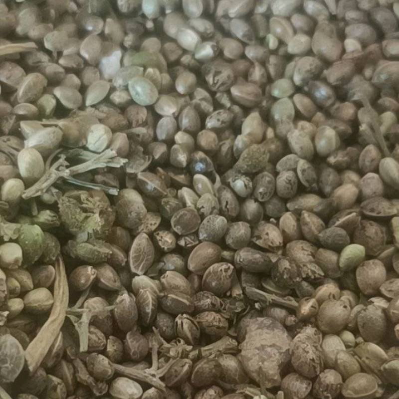 麻子