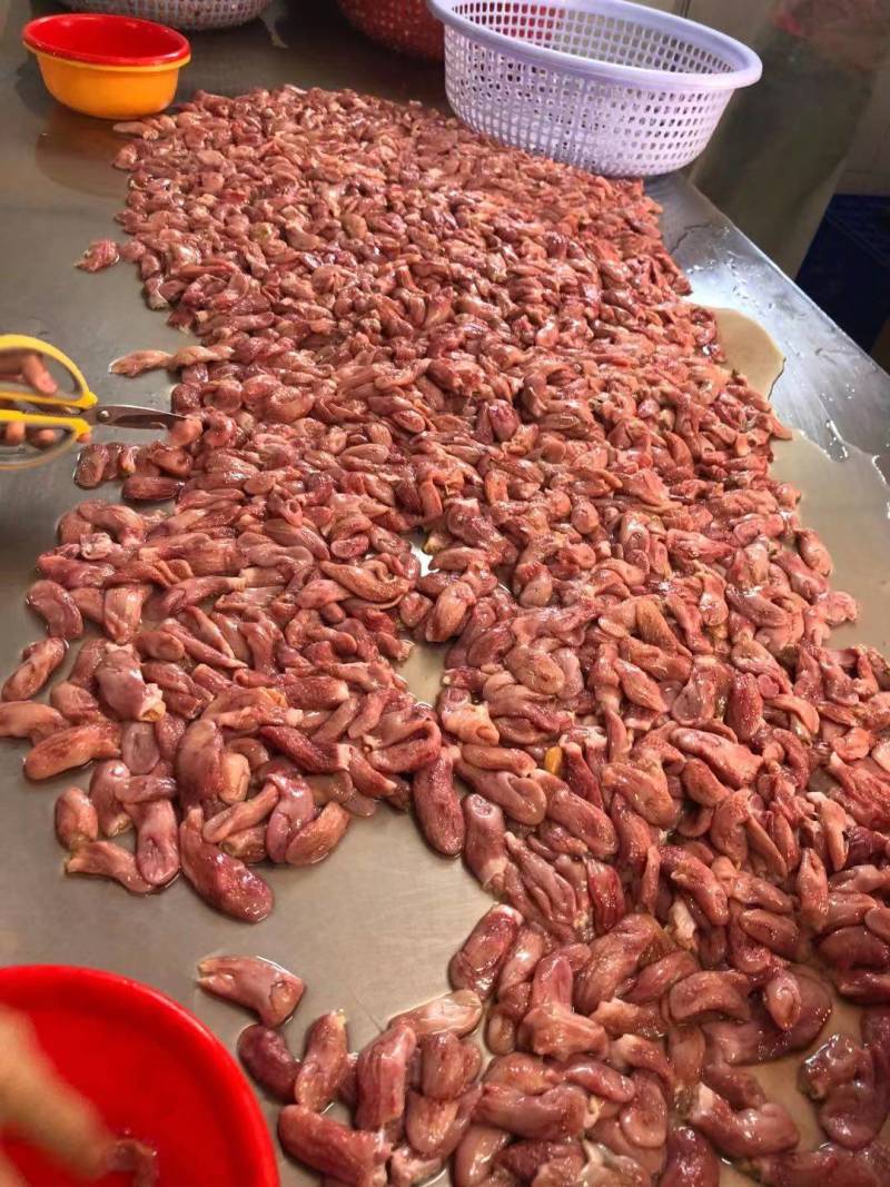 巴沙鱼肚原料工厂用原浆鱼肚版冻袋装鱼扣原料越南鱼肚