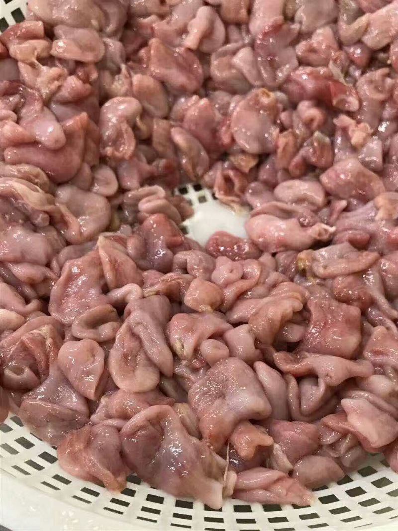 巴沙鱼肚原料工厂用原浆鱼肚版冻袋装鱼扣原料越南鱼肚
