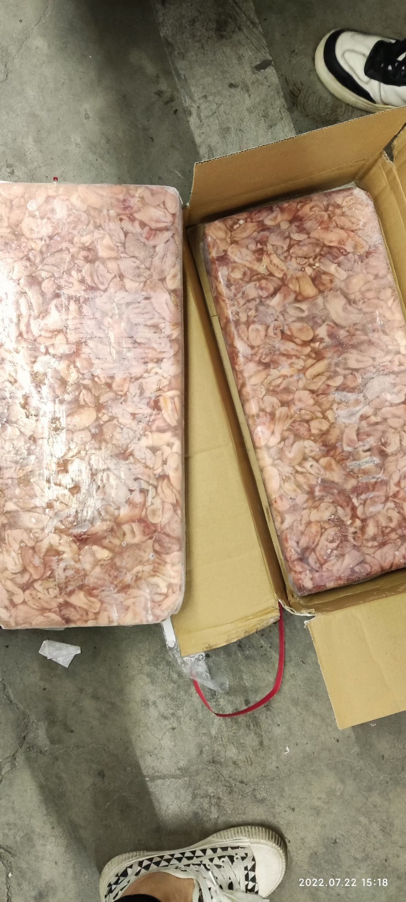 巴沙鱼肚原料工厂用原浆鱼肚版冻袋装鱼扣原料越南鱼肚