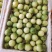 广西钦蜜9号黄金百香果质量保证自家种植大量有贷全国供应