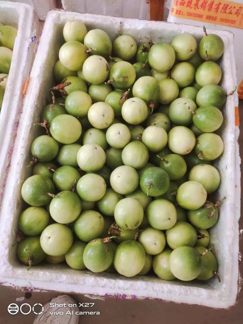 广西钦蜜9号黄金百香果质量保证自家种植大量有贷全国供应