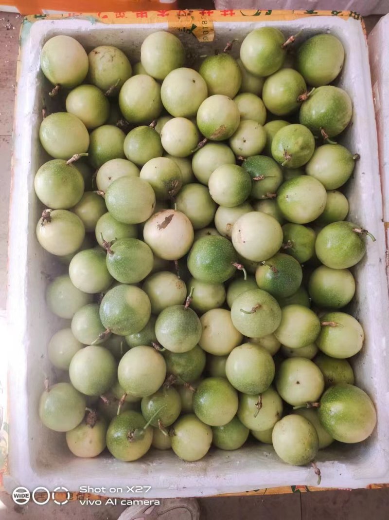 广西钦蜜9号黄金百香果质量保证自家种植大量有贷全国供应