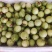 广西钦蜜9号黄金百香果质量保证自家种植大量有贷全国供应
