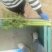 河南新乡西芹大量上市，产地直发，量大从优