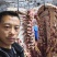 哈尔滨本地黄牛肉
