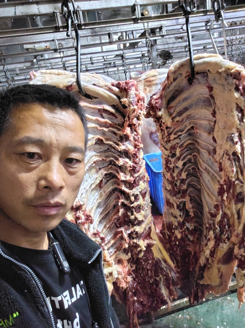 哈尔滨本地黄牛肉