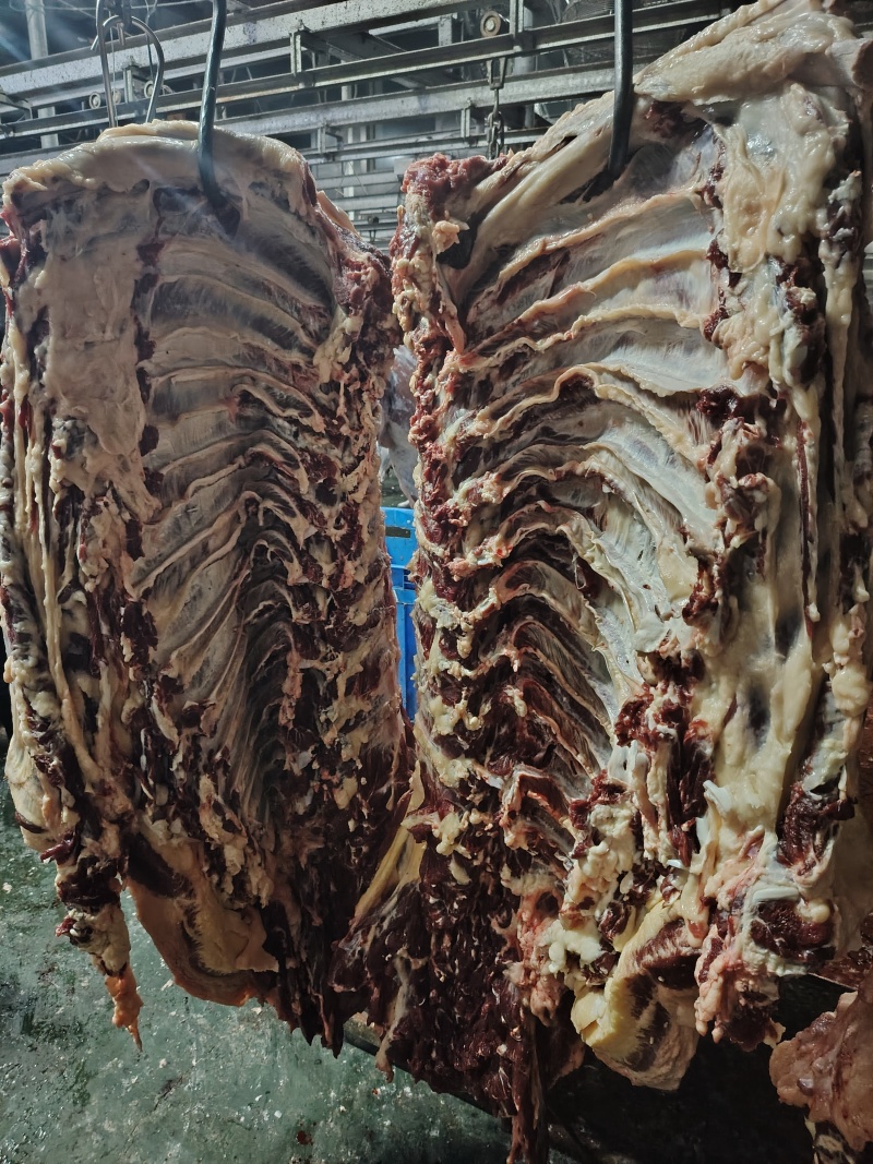 哈尔滨本地黄牛肉