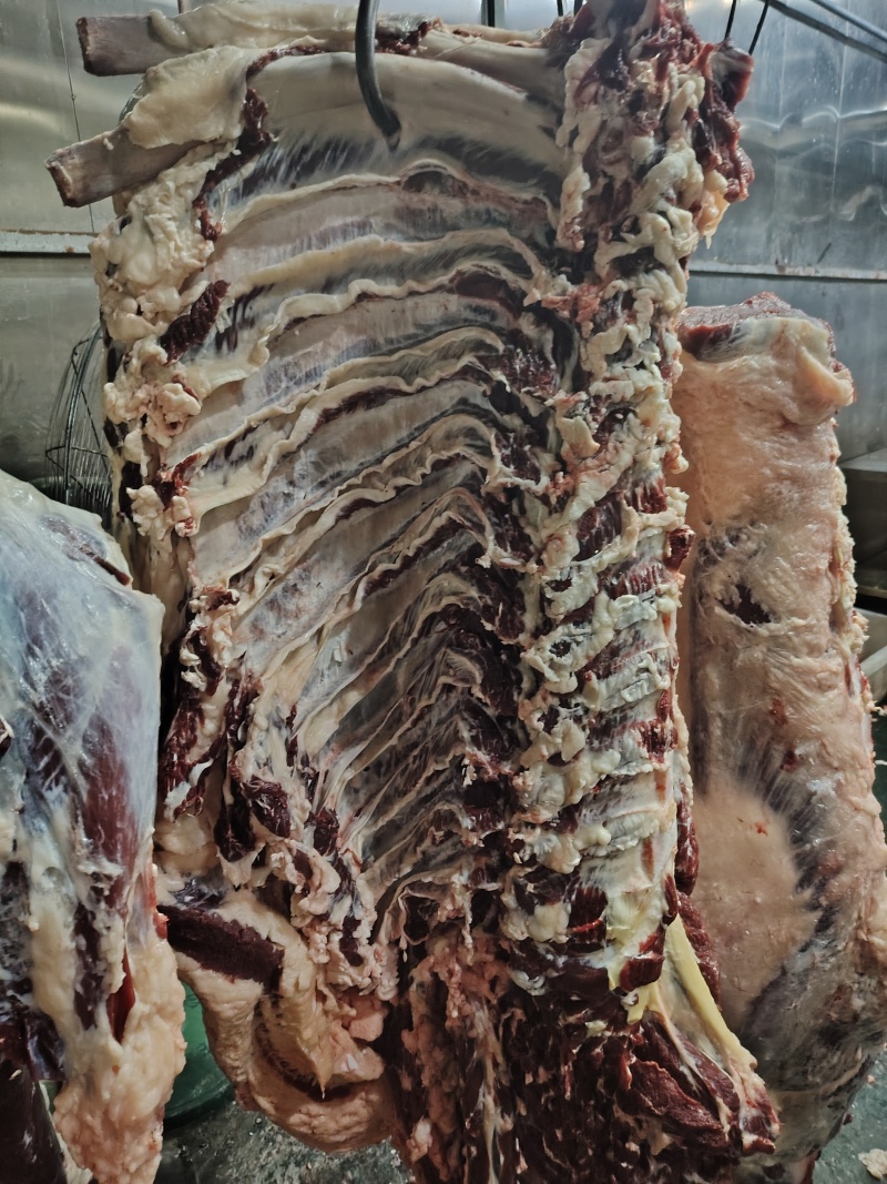 哈尔滨本地黄牛肉