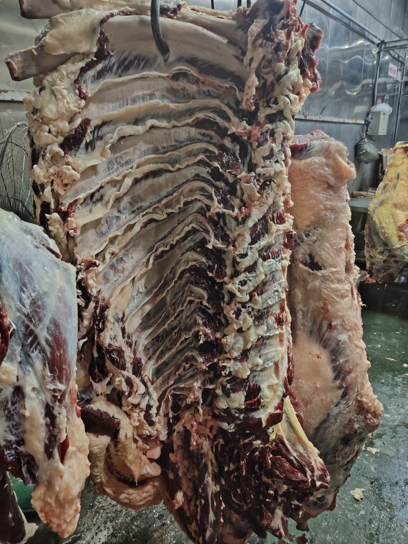 哈尔滨本地黄牛肉