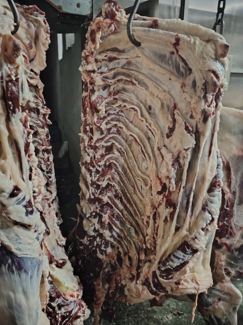 哈尔滨本地黄牛肉