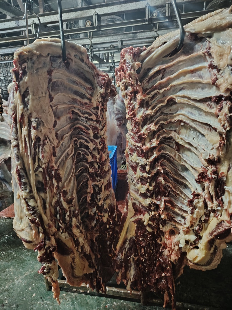 哈尔滨本地黄牛肉
