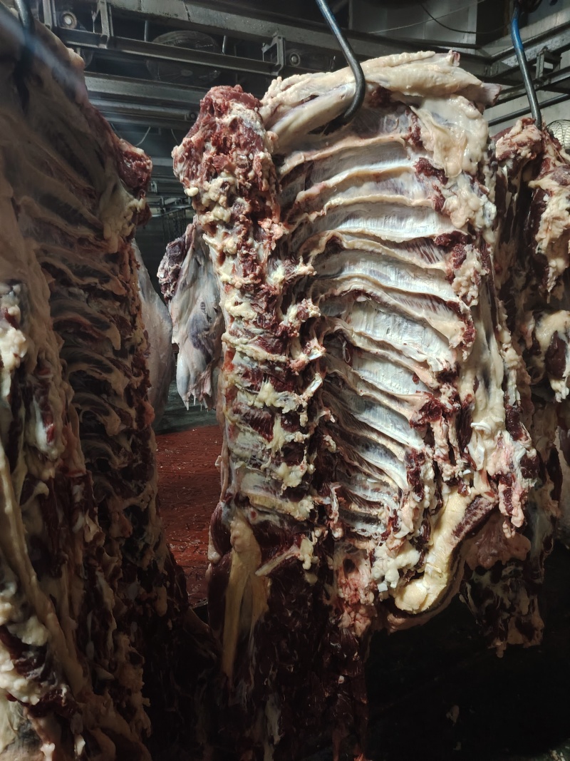 哈尔滨本地黄牛肉