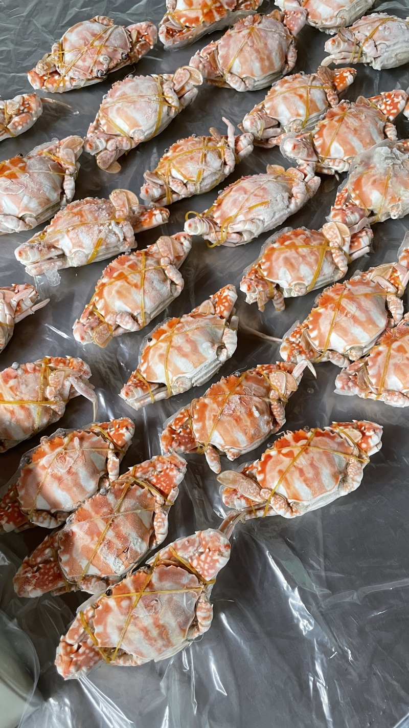 红花蟹.活熟冻（实力工厂）产地直销货源充足欢迎选购