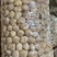 古田猴头菇，农家直采，各规格齐全可接各种定制