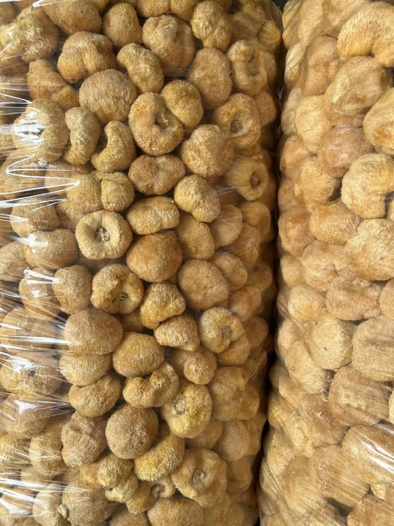 古田猴头菇，农家直采，各规格齐全可接各种定制
