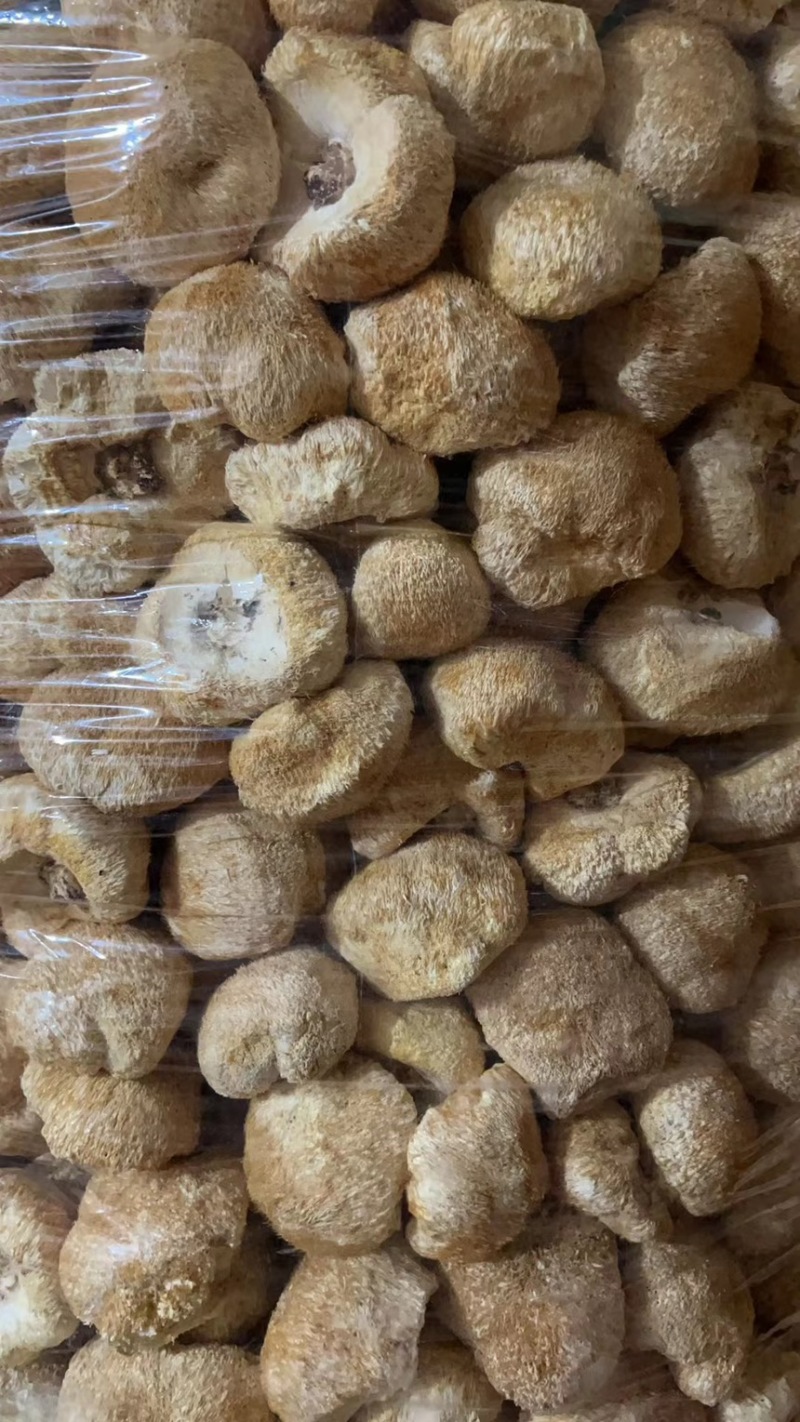 古田猴头菇，农家直采，各规格齐全可接各种定制