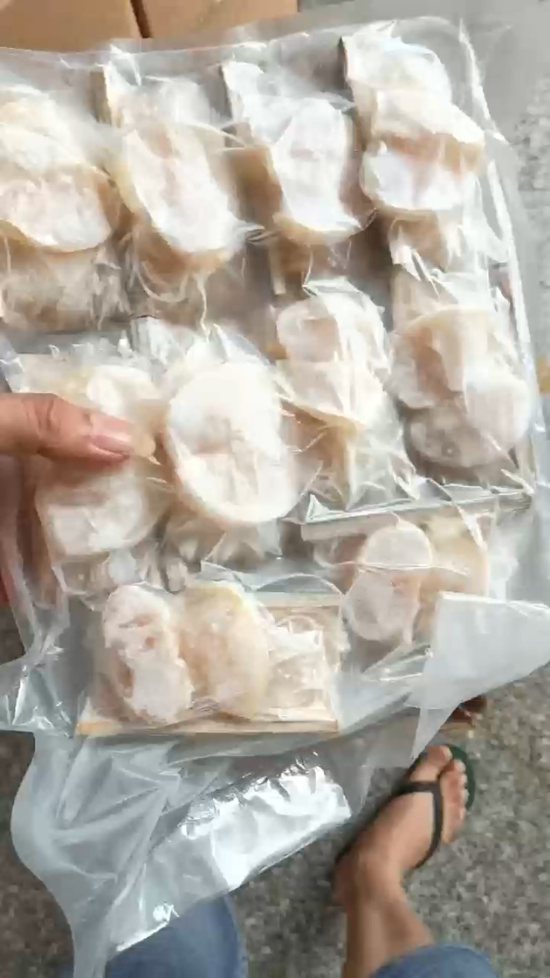 竹香粉丝带子海丞相竹香带子宴席围餐特色食材10粒装