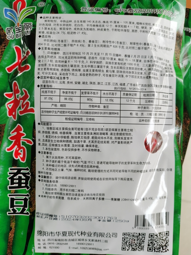 七粒香蚕豆250g/袋角长七粒左右