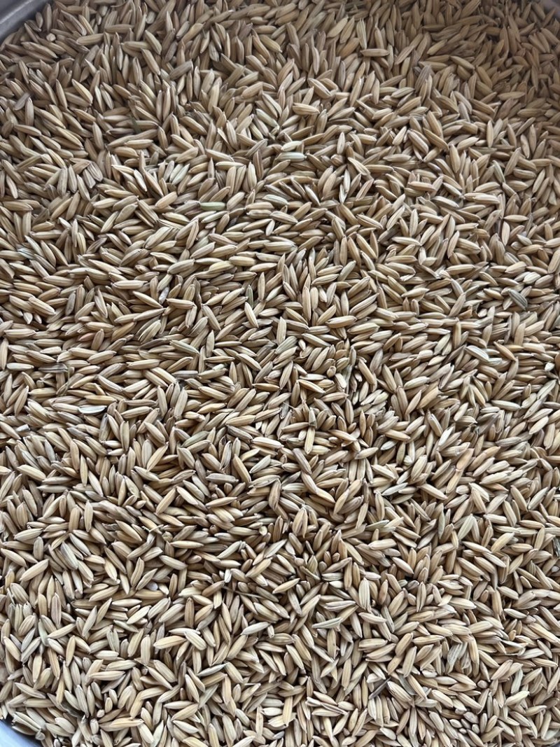 大量出售入库加工精品丰良优