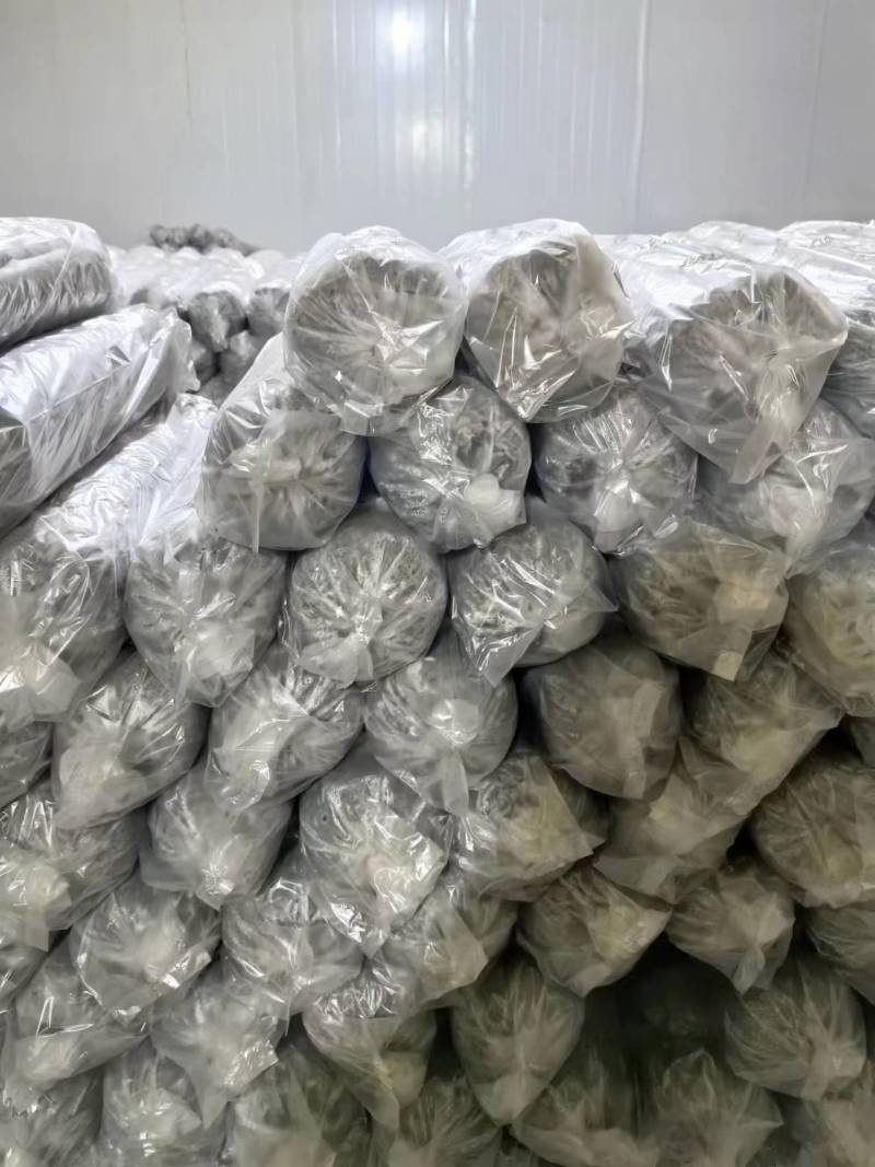 香菇菌棒/七河九号/一手货源/量大优惠/保质保量