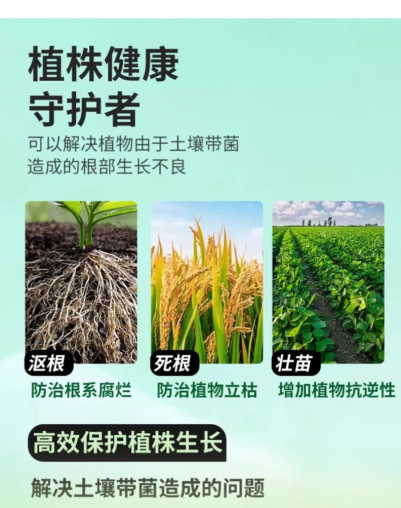 根腐克星养根壮根壮苗预防烂根死苗僵苗根腐根肿枯萎猝倒