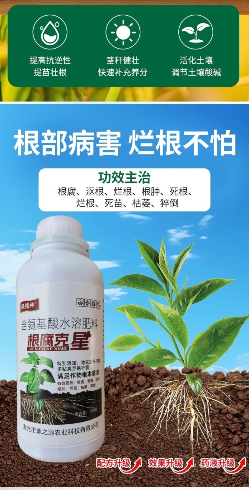 根腐克星养根壮根壮苗预防烂根死苗僵苗根腐根肿枯萎猝倒