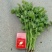河南商丘精品大叶香菜，大量有货欢迎各大商超采购