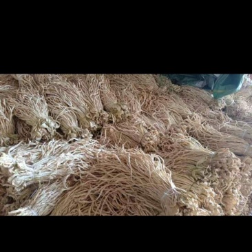 萝卜条批发