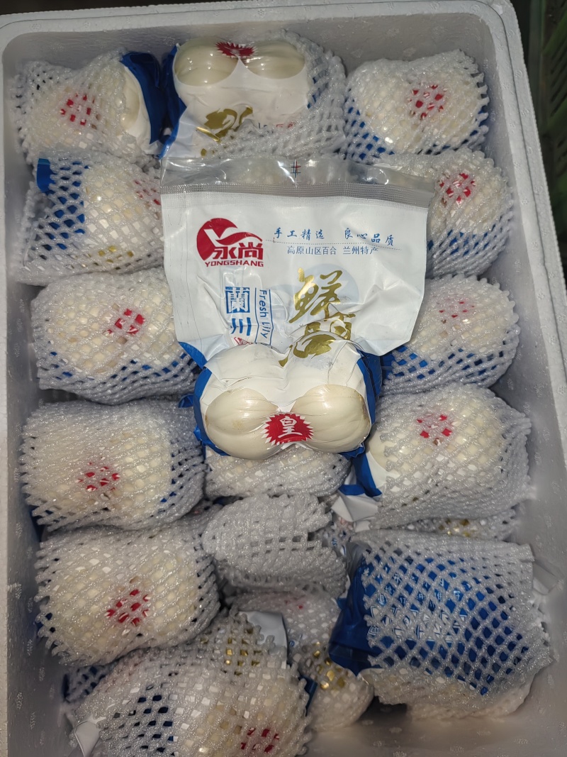 甘肃百合鲜百合规划齐全产地直供量大从优全国发货