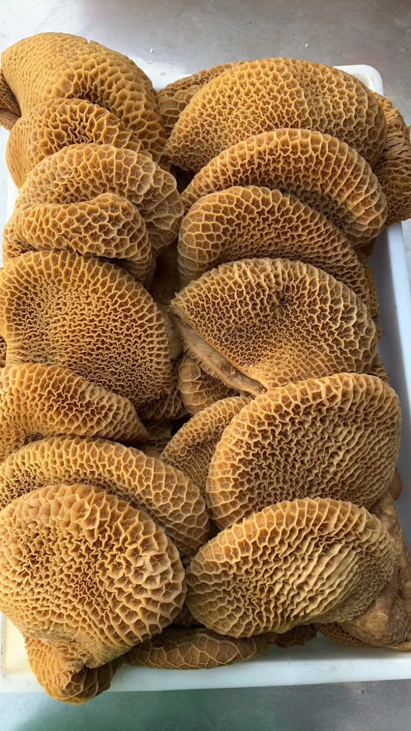 厂家直销批发全熟卤花肚熟牛肚卤牛肚摆摊酒店美食城