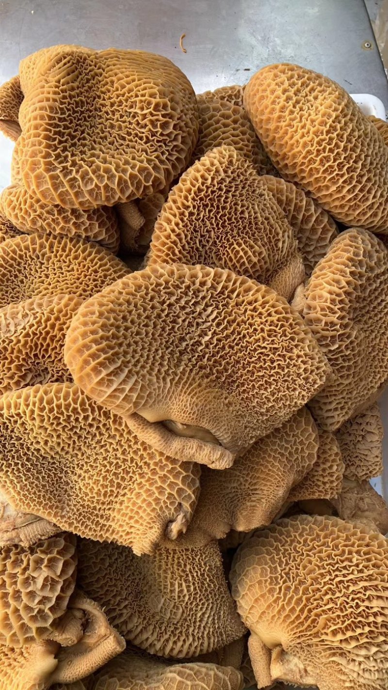 厂家直销批发全熟卤花肚熟牛肚卤牛肚摆摊酒店美食城