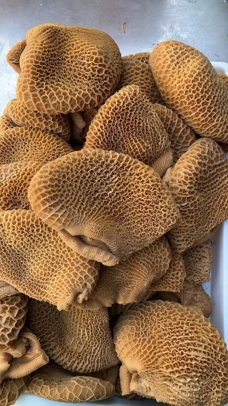 厂家直销批发全熟卤花肚熟牛肚卤牛肚摆摊酒店美食城