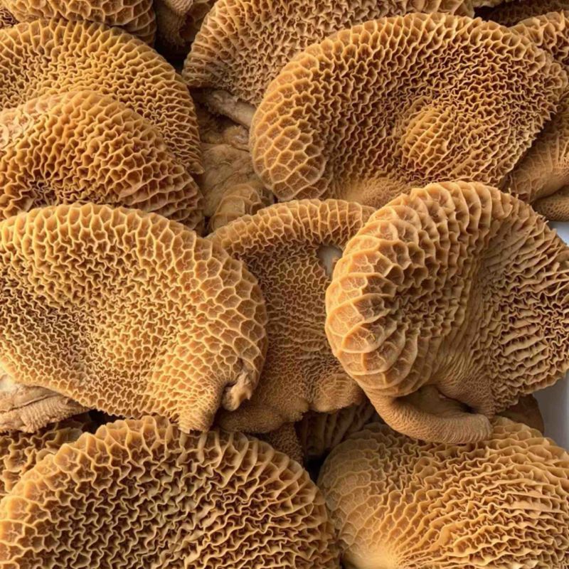 厂家直销批发全熟卤花肚熟牛肚卤牛肚摆摊酒店美食城