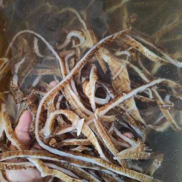 毛肚底板丝自助餐火锅食材牛肚牛百叶