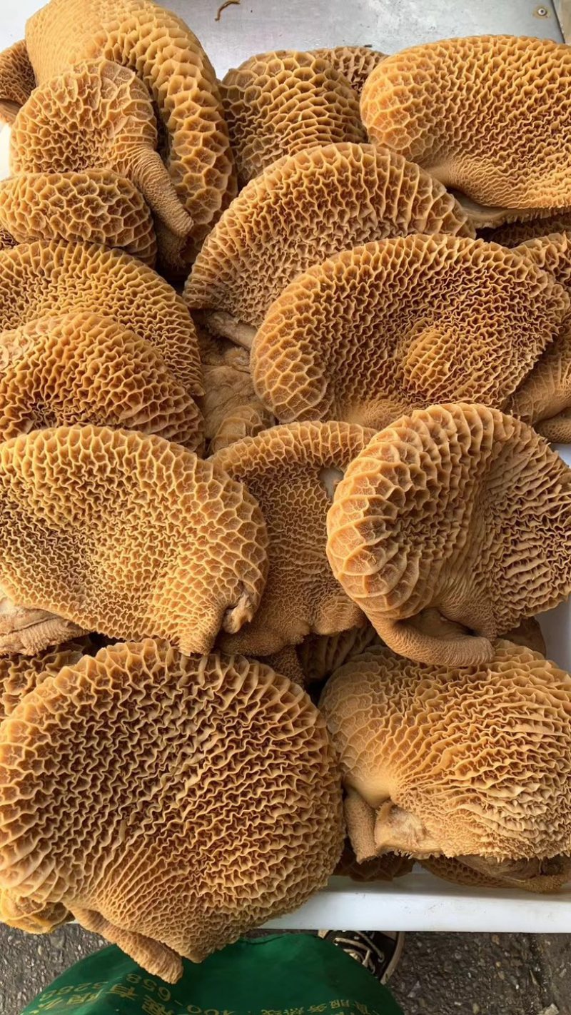 厂家直销批发卤花肚全熟卤牛肚酒店美食城摆摊专用
