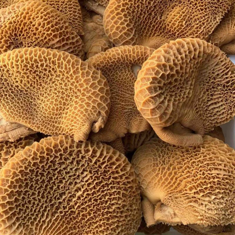 厂家直销特惠精品全熟卤牛肚熟金钱肚卤菜店摆摊专用