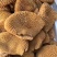 厂家直销特惠精品全熟卤牛肚熟金钱肚卤菜店摆摊专用