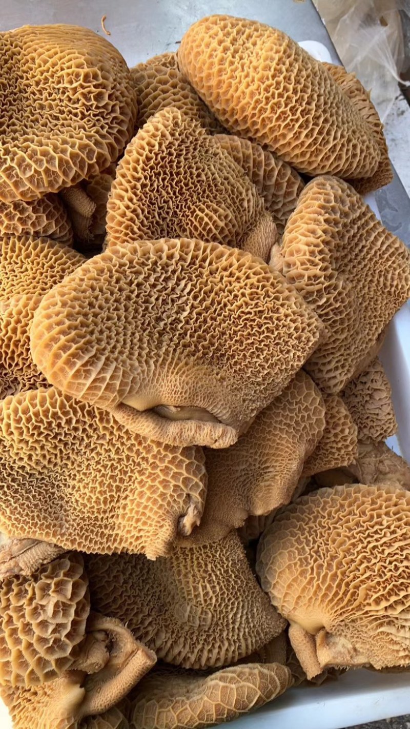 厂家直销特惠精品全熟卤牛肚熟金钱肚卤菜店摆摊专用